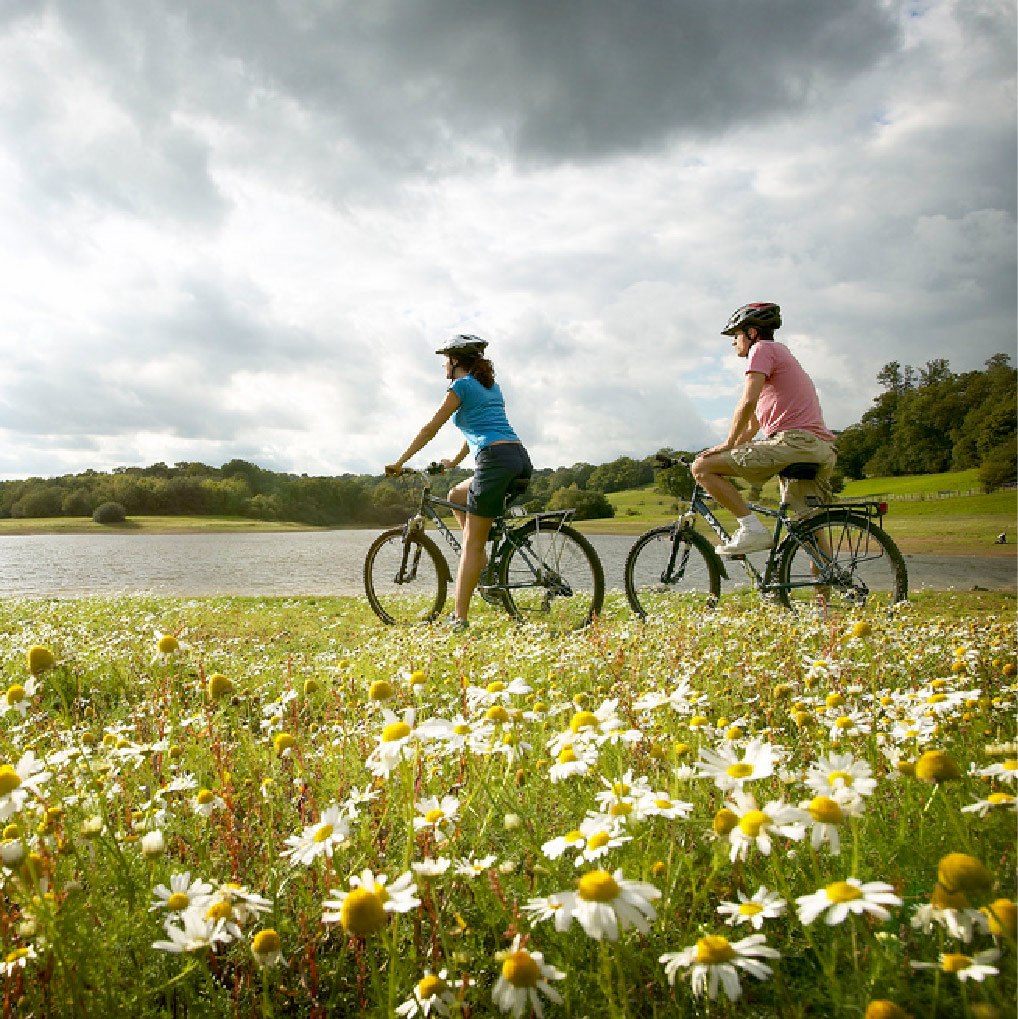 Hire some bikes and explore the area or cycle round a lake